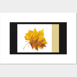 Autumn Leaves Posters and Art